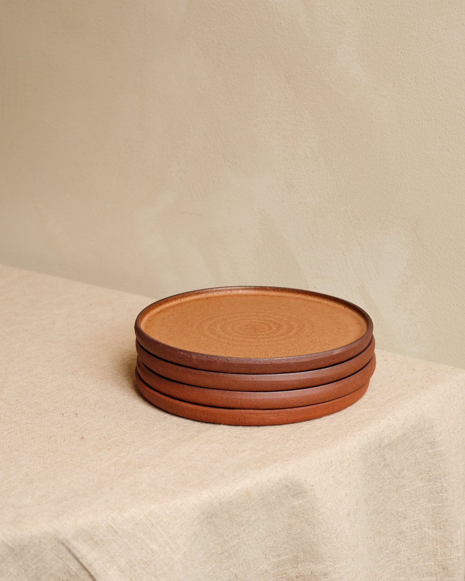 TERRA Lunch Plate | SET OF 4 | BROWN