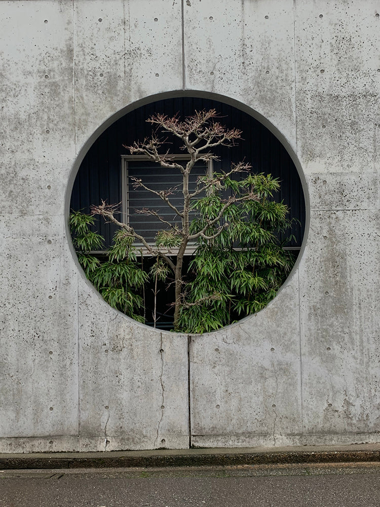 Kanazawa's Artistic Treasures: Discovering the Creative Soul of a Quaint Destination