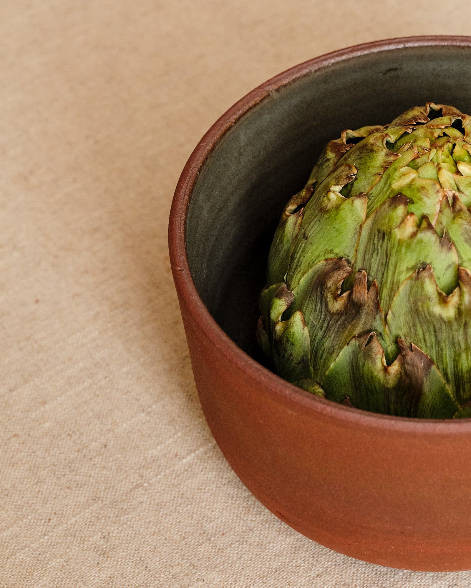 Artichoke in a terracotta pot on a beige surface