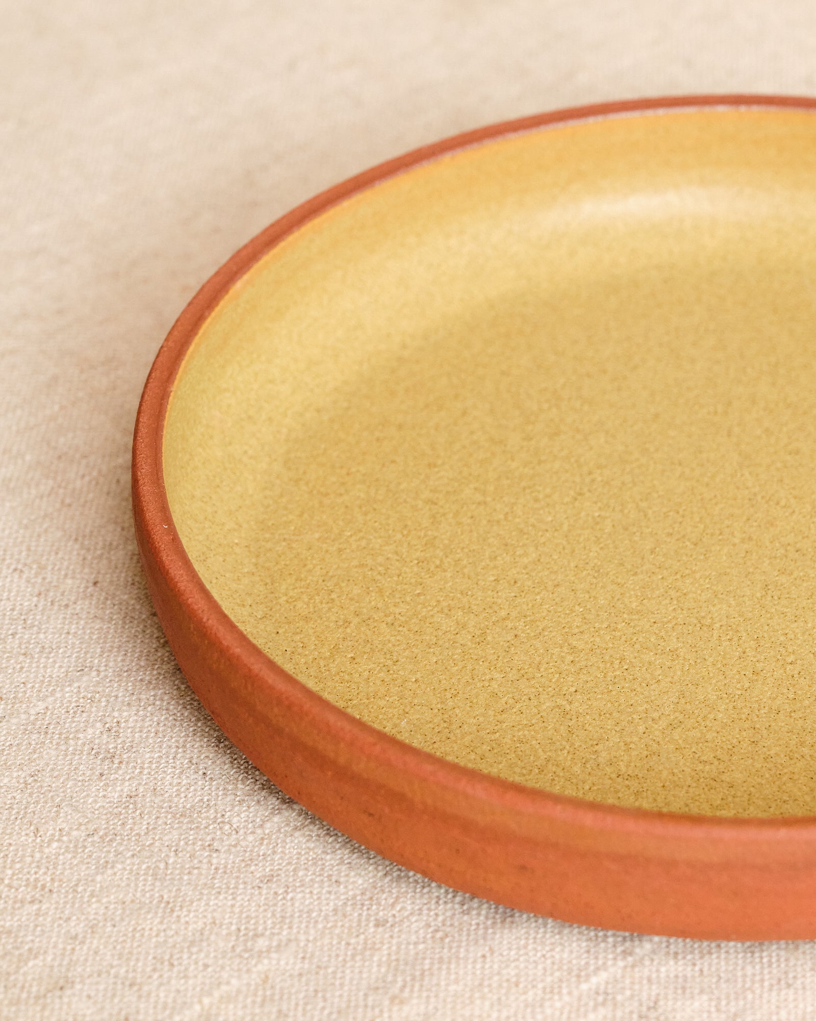 Close-up of a ceramic plate with a gold interior and terra cotta exterior on a beige background