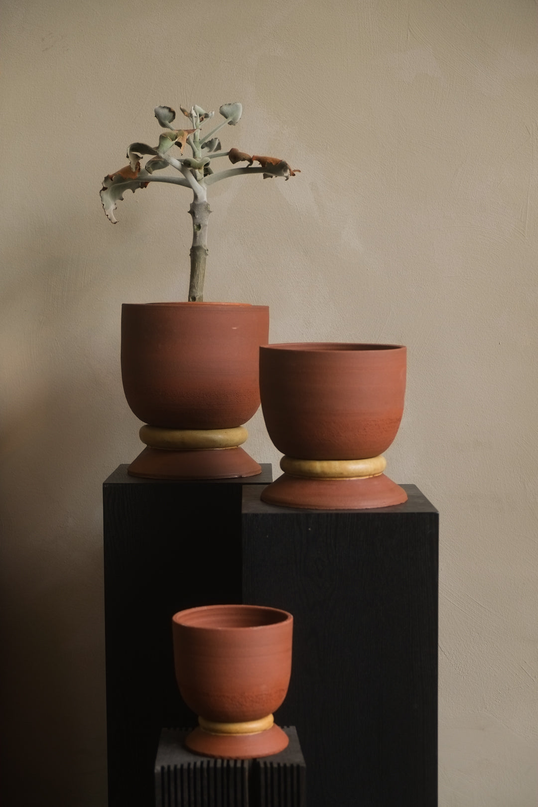 Three terracotta pots with a plant on a black pedestal against a beige wall