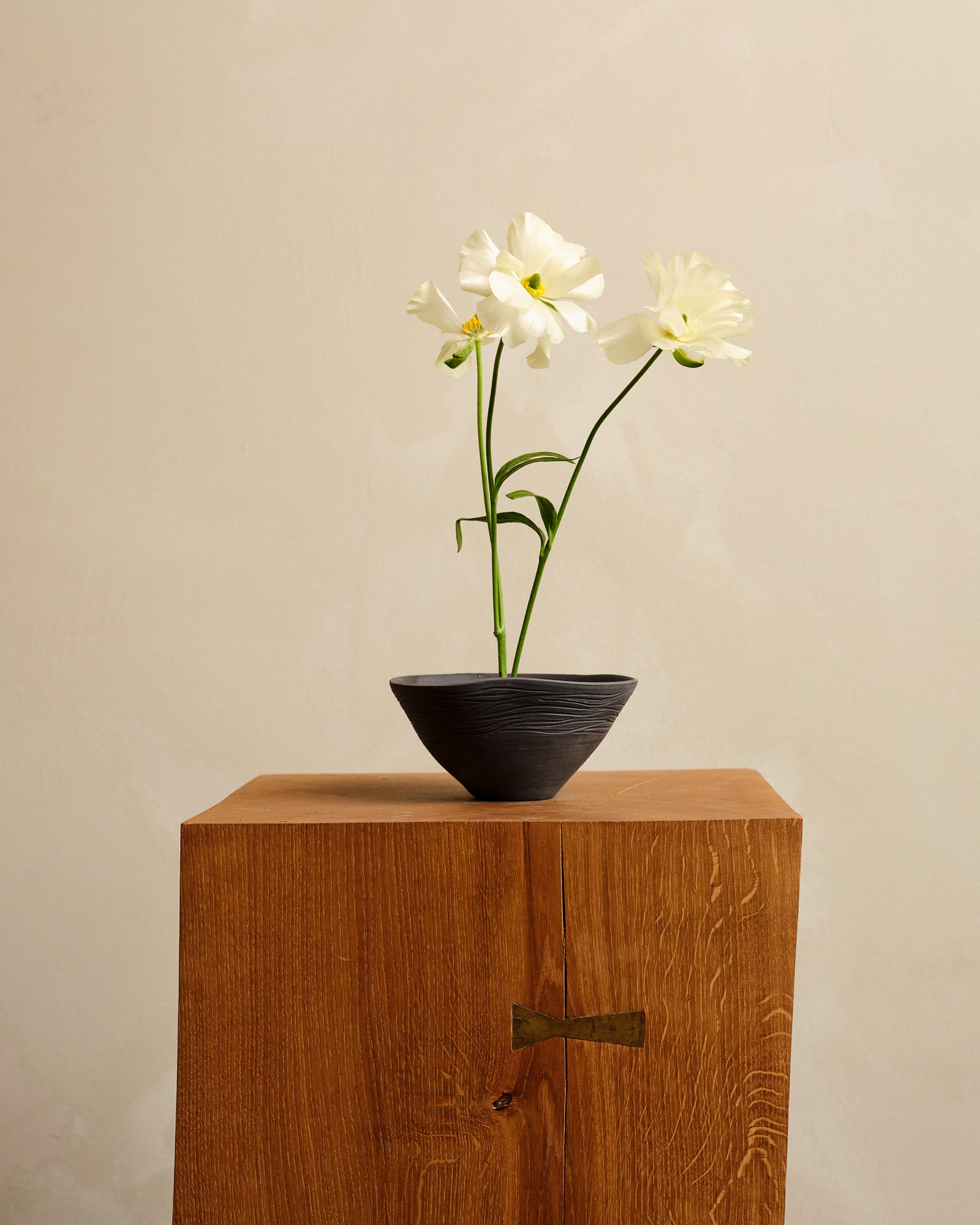 Black vase with white flowers on a wooden cabinet against a beige wall