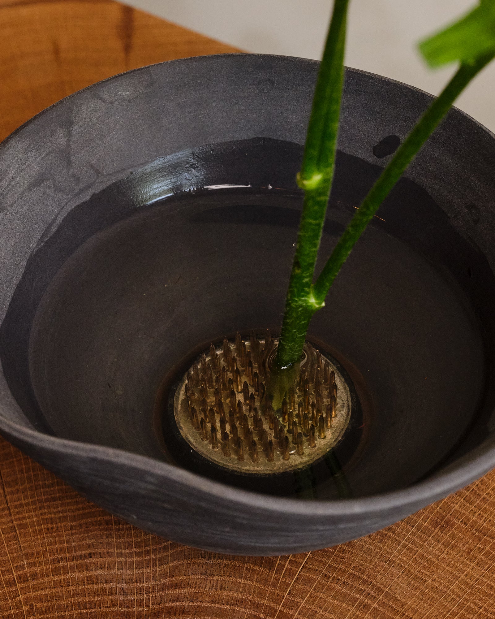 Planted stem in a black pot with water on a wooden surface