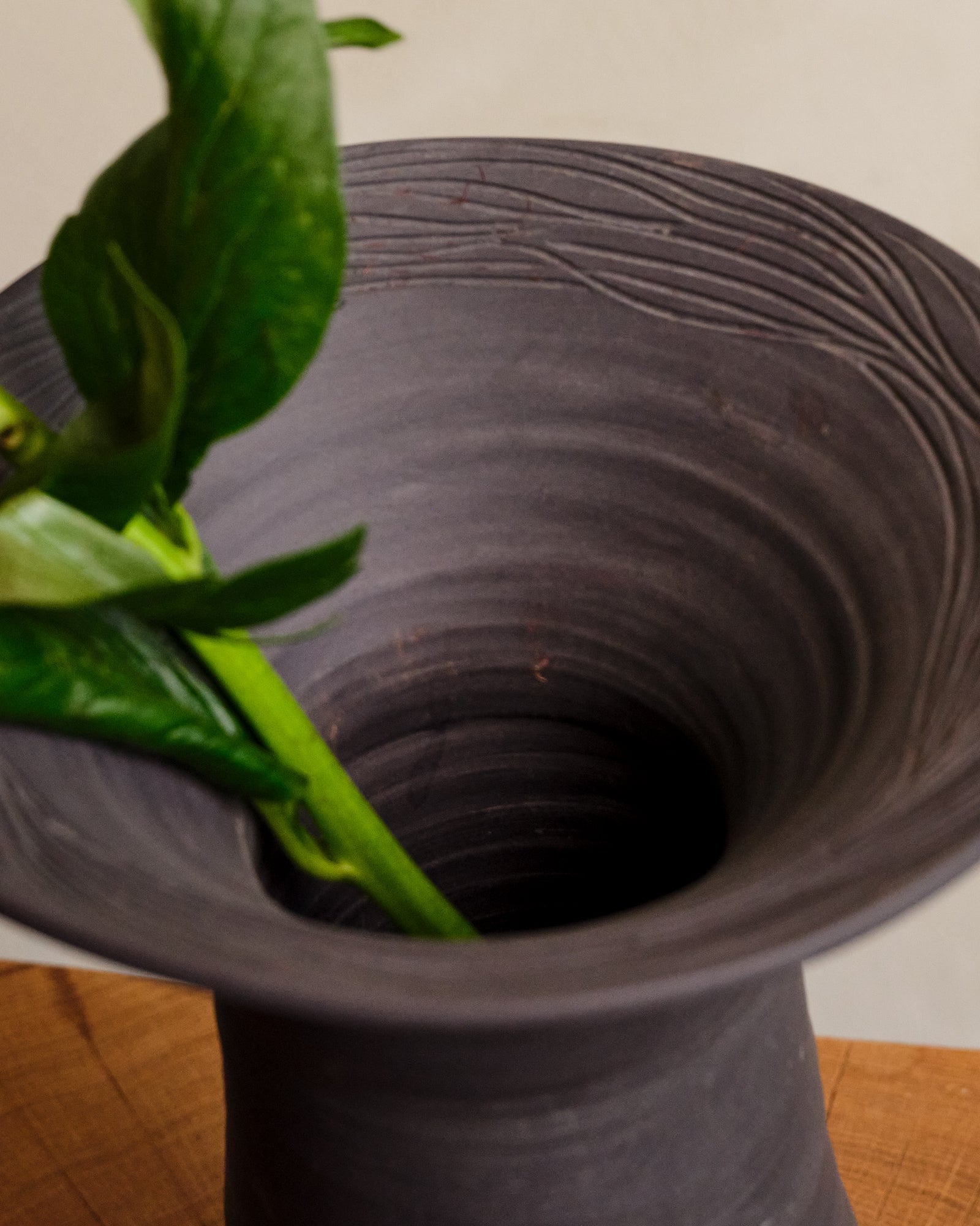 Black vase with a plant on a wooden surface