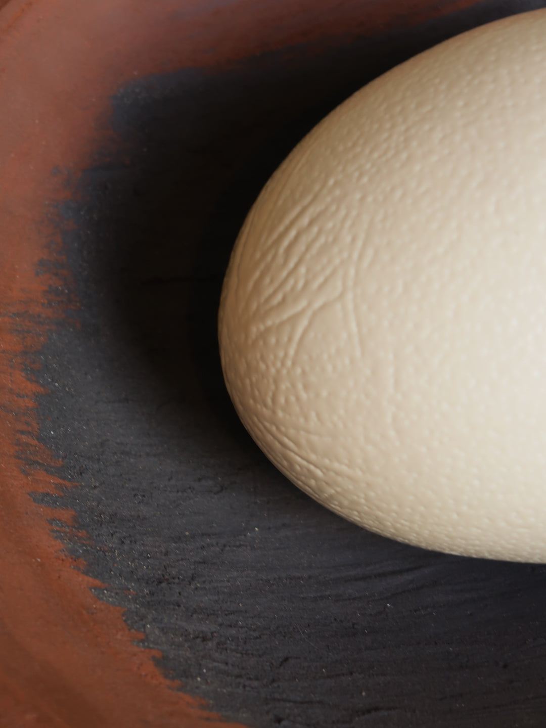 White egg on a dark surface with a brown rim