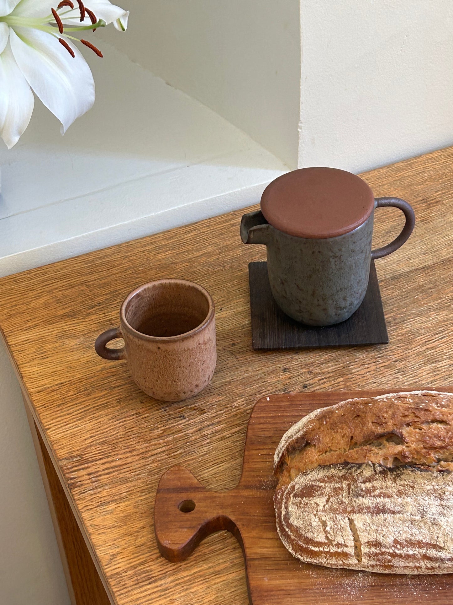 TERRA Index Cup | BROWN