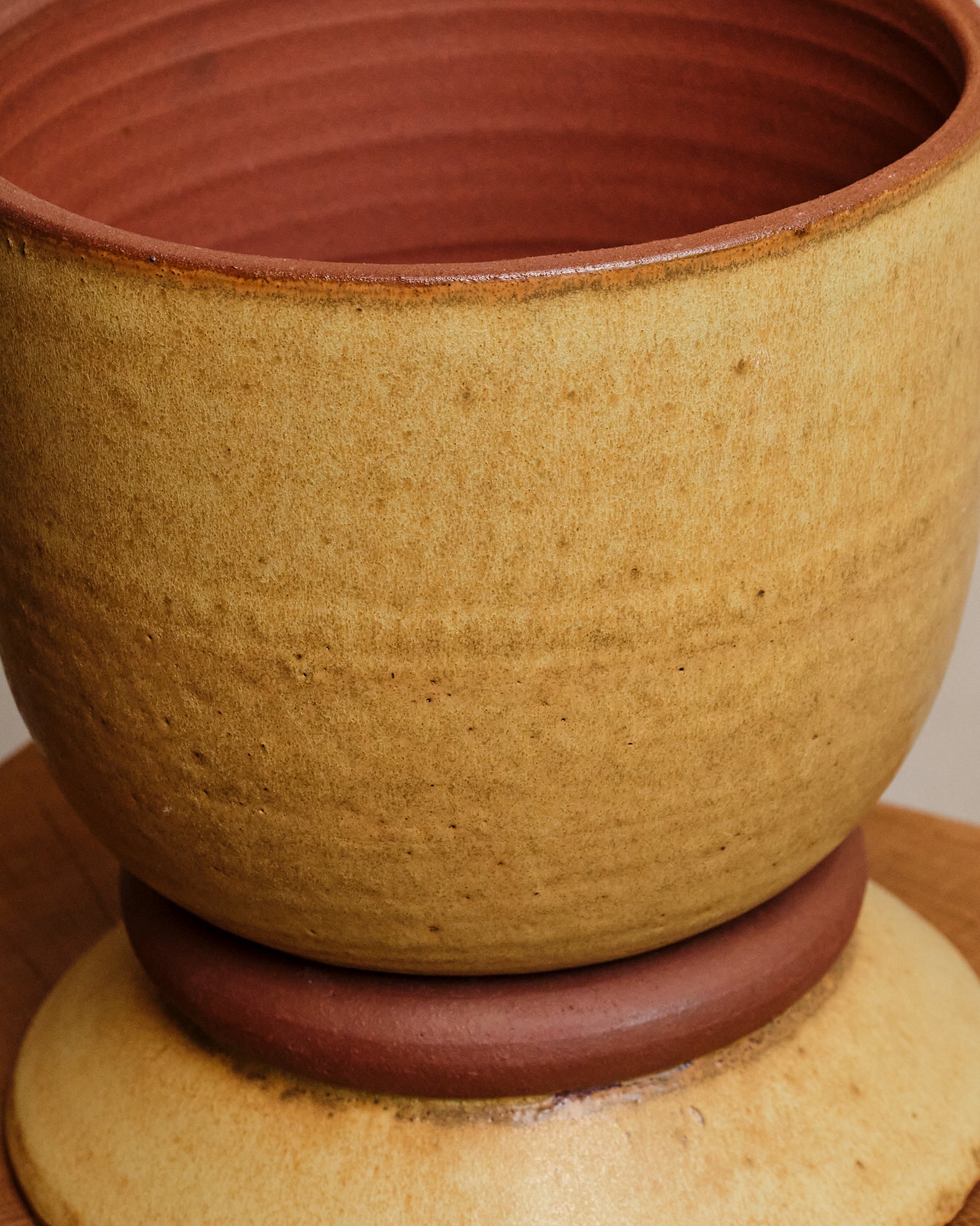 TERRA Planter and Saucer | LARGE